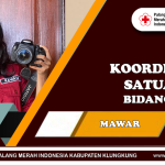Ni Luh Mawar Indira Dyastari